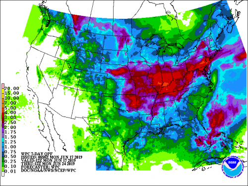 Map of the NWS 7-Day Precipitation Forecast