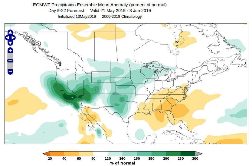 Precipitation Forecast based on ECMWF Extended Ensemble
