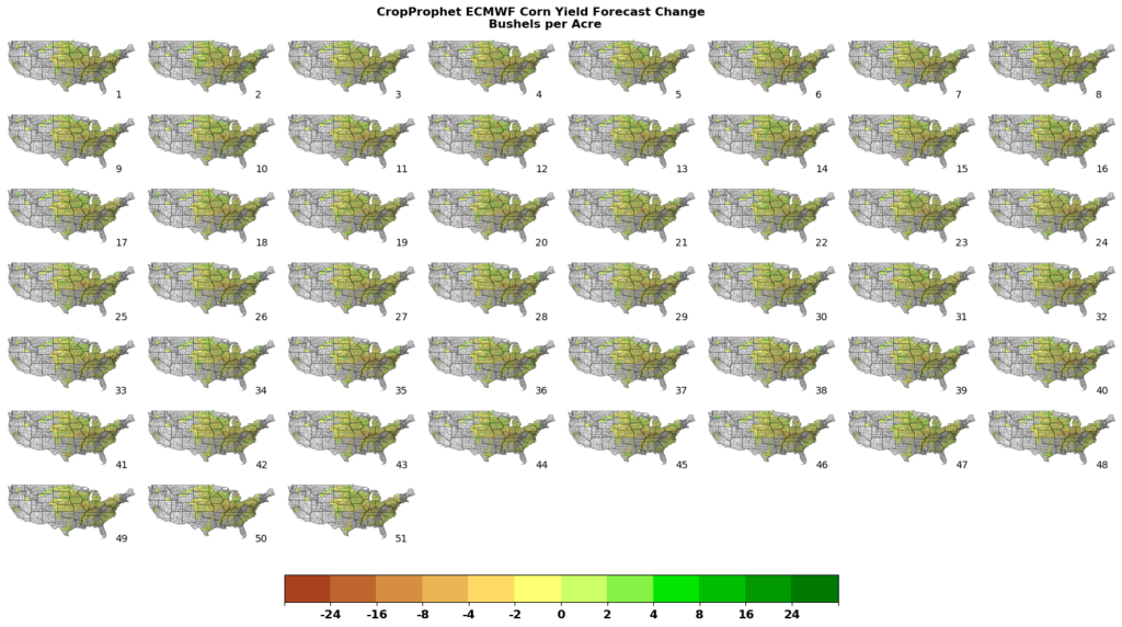 51 Corn YIeld Forecasts generated by the ECMWF weather forecast model