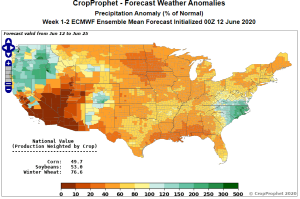 ECMWF Two Week Precipitation Forecast