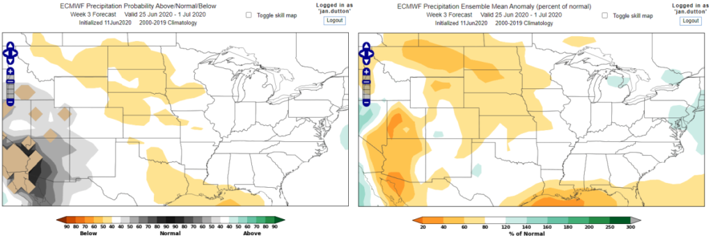 World Climate Service ECMWF Week 3 Precipitation Forecast
