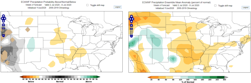 World Climate Service ECMWF Week 4 Precipitation Forecast