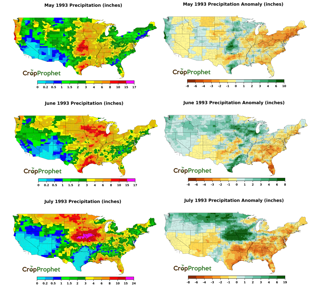 1993 Precipitation