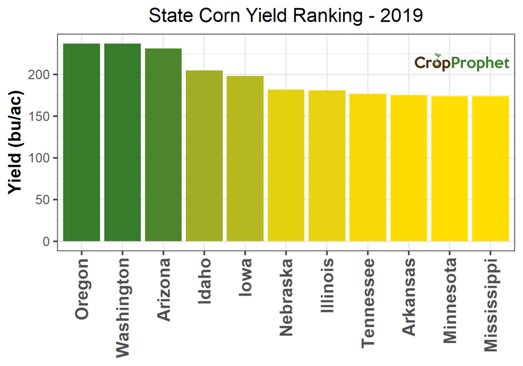 State Corn Yield Rankings: 2019