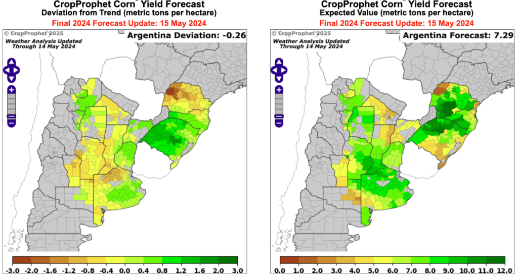 Argentina Corn Yield Forecast for 2024