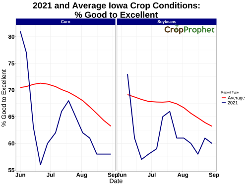 USDA Crop Condition Reports: 2021 Example