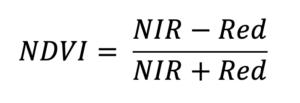 NDVI Equation