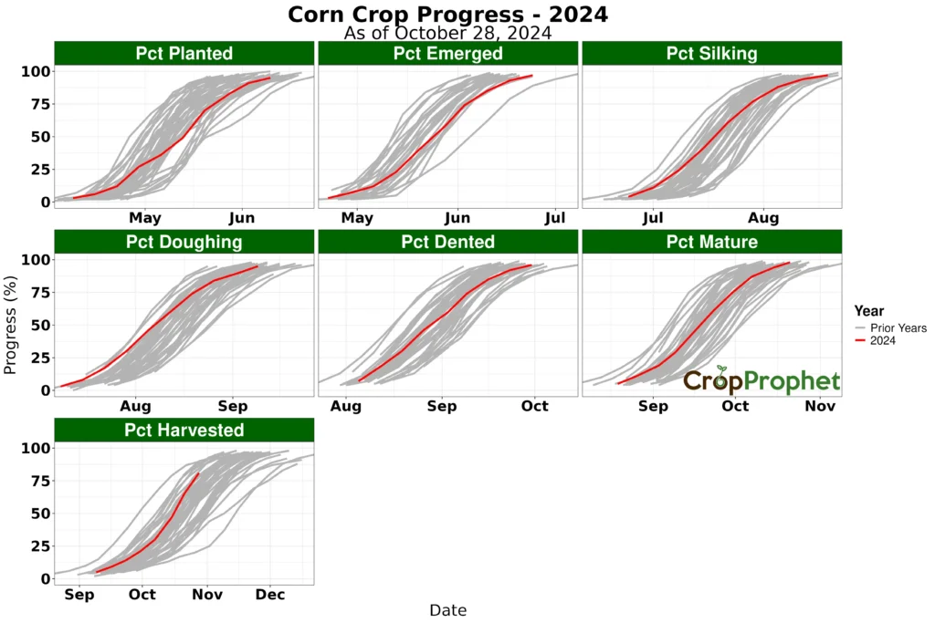  USDA United States crop progress for corn in 2024.