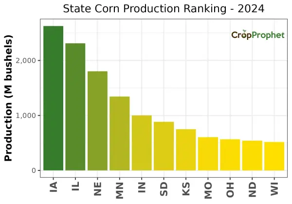 Corn Production by State - 2024 Rankings
