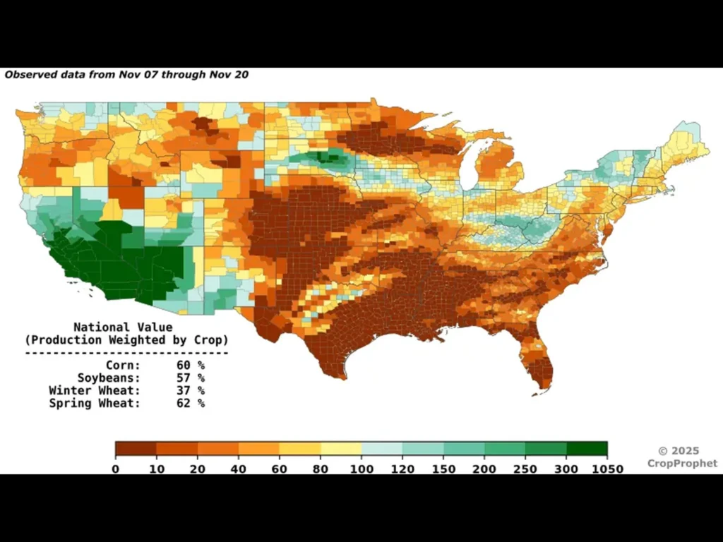CP_pcp_obs_20251120_std